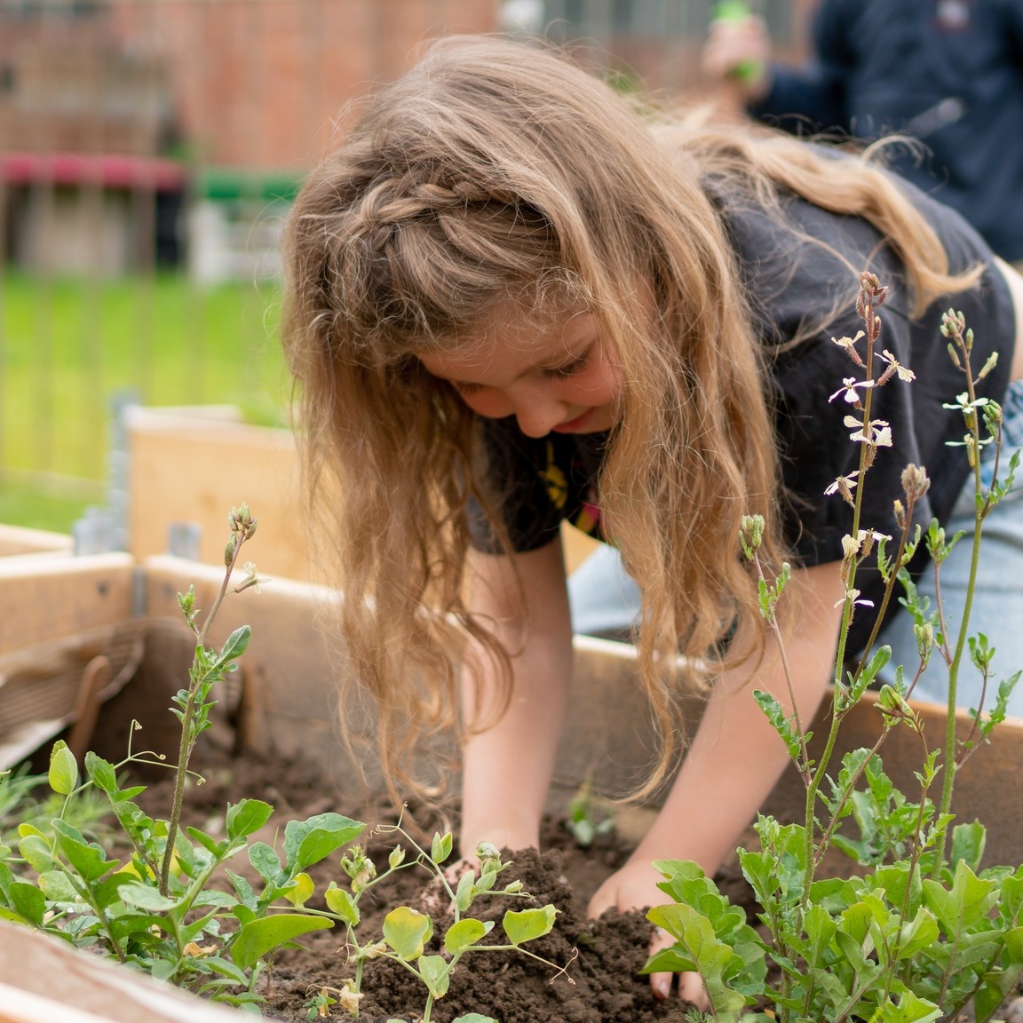 REAL School Budapest tweet media