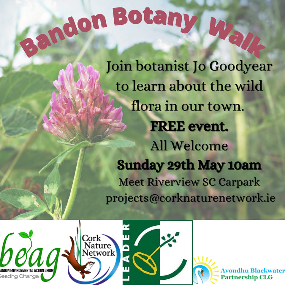 BandonBeag's tweet photo. Bandon Environmental Action Group are delighted to be on LinkedIn. For our first post we have some exciting news to share!

Register here for a fantastic botany event: https://t.co/Q7IySi13MY https://t.co/YmRpmjPP61