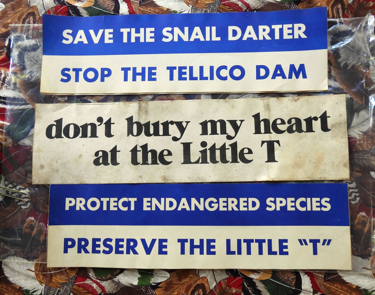 In Part 3: The Small Fish in the Highest Court, we hear about the #TVA vs. Hill Supreme Court case (1978) People committed to the cause made these bumper stickers in an effort to raise awareness of the #snaildarter and #tellicodam. Hear more about their efforts now. Link in bio.