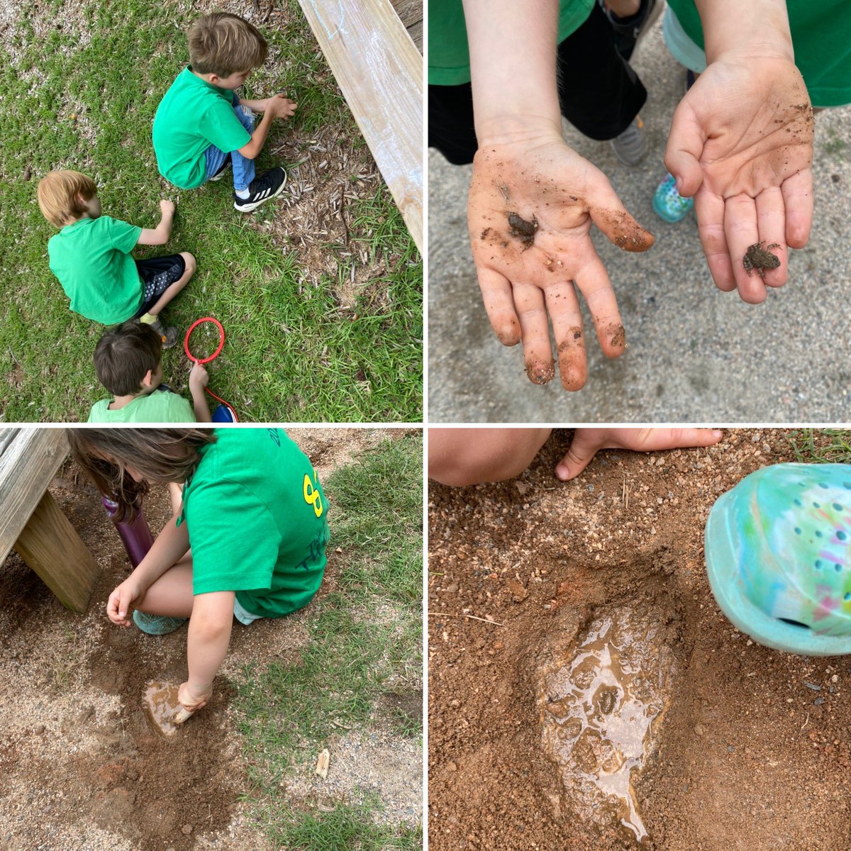 On a hard day in an elementary school, I found joy in small moments of kinder kids at recess finding frogs, and building them a swimming pool. 🐸 kids being kids🥰 <a href="/Lead_Mine/">Lead Mine Elementary</a> <a href="/SmithsKinders6/">Sarah Smith</a>
