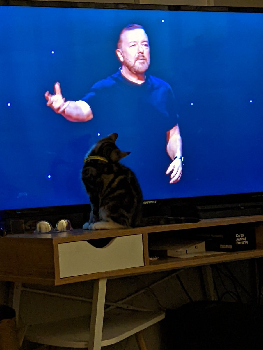 Danmdrums's tweet photo. The cat also enjoying @rickygervais supernature 🤘🤘🤘 https://t.co/2iiC5VVi6t