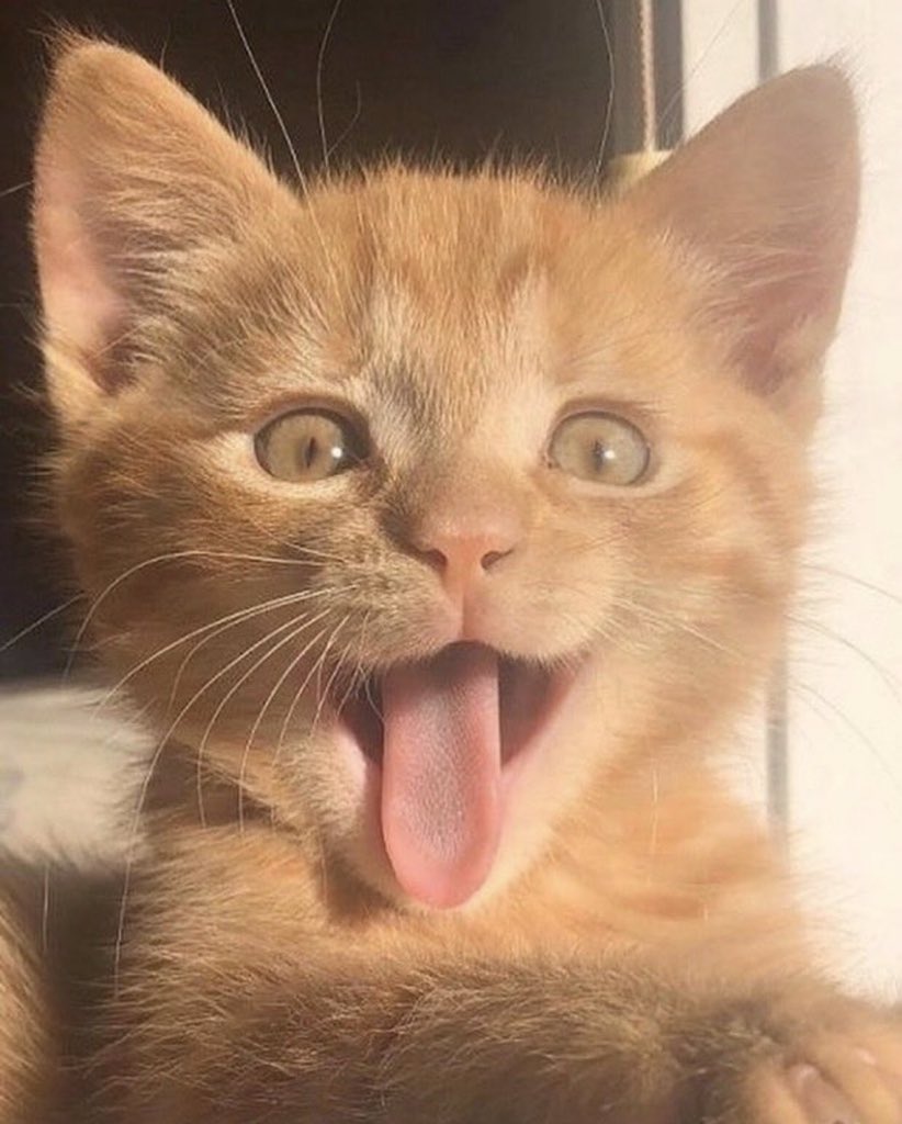 sinemmmmmmmnm's tweet photo. Aw yeah.....
Baktım, gördüm ,gittim.....🦋 https://t.co/uKFo0Mbdi2