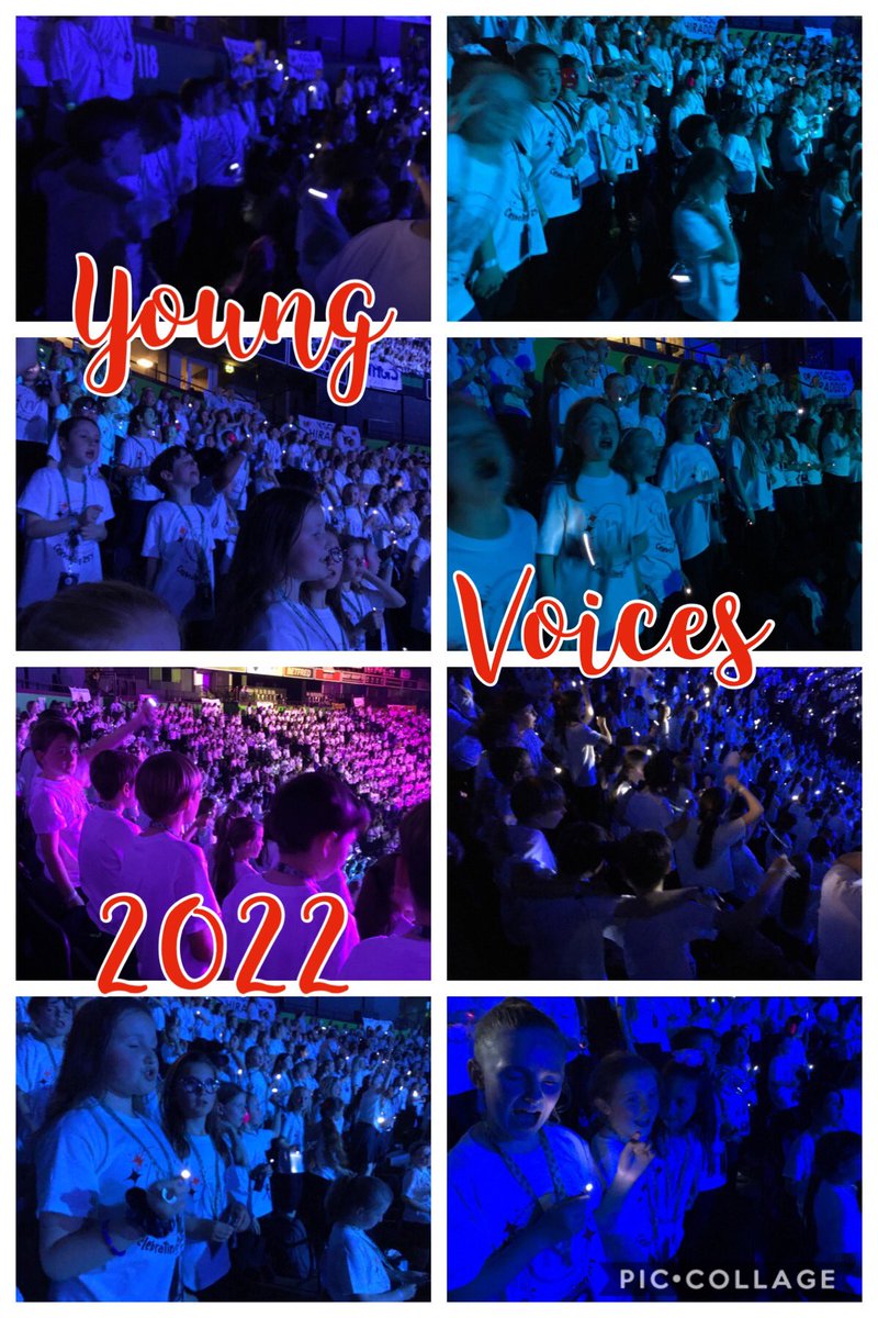 Christ the King Catholic Primary tweet media