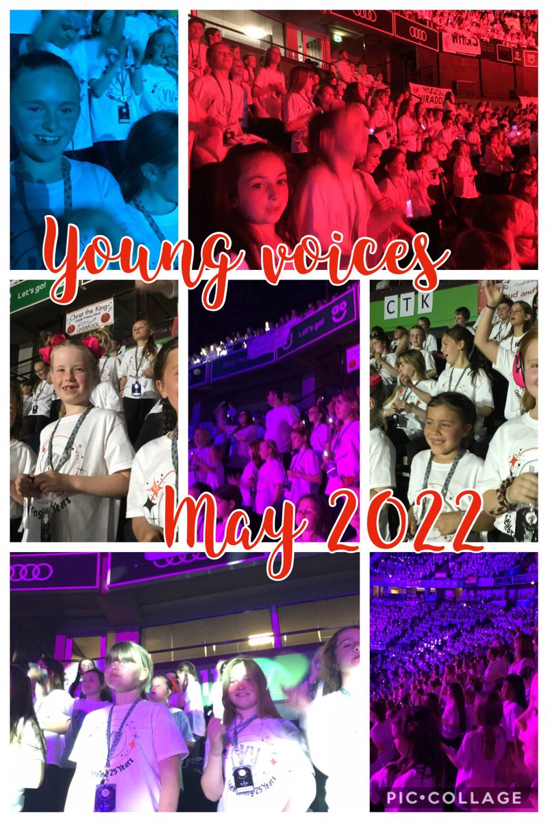 Christ the King Catholic Primary tweet media