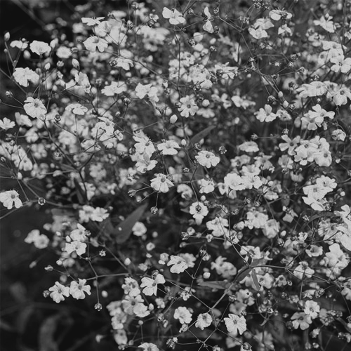 ᅟᅟ
ᅟᅟ𝖬𝗒 𝖽𝖺𝗋𝗅𝗂𝗇𝗀 𝗃𝗎𝗌𝗍 𝗀𝖺𝗏𝖾 𝗆𝖾 𝗍𝗁𝗈𝗌𝖾 𝖻𝖾𝖺𝗎𝗍𝗂𝖿𝗎𝗅, 𝖻𝖾𝖺𝗎𝗍𝗂𝖿𝗎𝗅 𝖿𝗅𝗈𝗐𝖾𝗋𝗌... 𝖨𝗍'𝗌 𝗀𝗈𝗈𝖽 𝗍𝗈 𝖻𝖾 𝗂𝗇 𝗅𝗈𝗏𝖾! ୭̥⋆*｡
ᅟᅟ