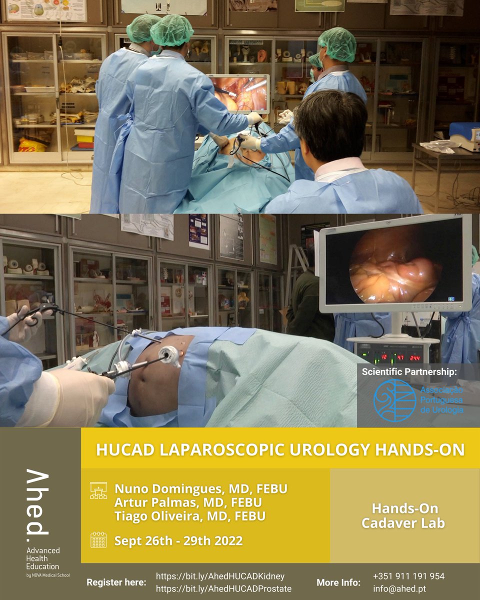 UrologyHucad's tweet photo. 4th HUCAD (Human Cadaveric Advanced) LAPAROSCOPIC UROLOGY Kidney &amp; Prostate - HANDS-ON

September 26-29, 2022

On line application:
https://t.co/UhBjXZrT1z

https://t.co/OPMnONFNMh

See you in Lisbon for the 4th edition... https://t.co/hBzsKWYDNL