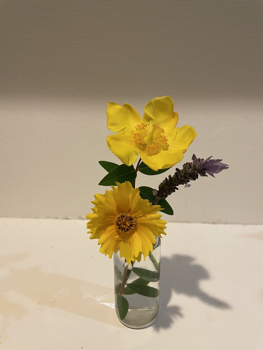 あいはらひろゆき (@hiroyukiaihara) on Twitter photo 