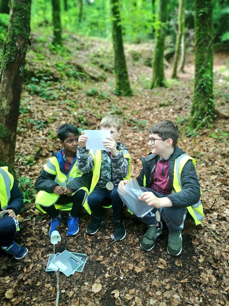 scoil_an's tweet photo. The Vikings!
3rd class are learning about the Vikings and whittled their own Viking Oars in the forest today! 
#outdoolearning #outdoorclassroom  #outdoorlearningireland https://t.co/ZDWrlwi21N