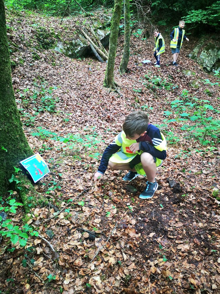 scoil_an's tweet photo. The Vikings!
3rd class are learning about the Vikings and whittled their own Viking Oars in the forest today! 
#outdoolearning #outdoorclassroom  #outdoorlearningireland https://t.co/ZDWrlwi21N