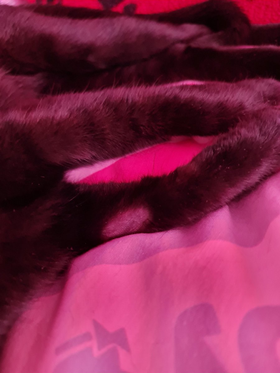 kateandgucci's tweet photo. These are my baldy bitz!
Luv from princess Prada the mini panfur 🐈⬛ 🐾🖤
#PanfurPower xxx https://t.co/ujfhiYk0ey