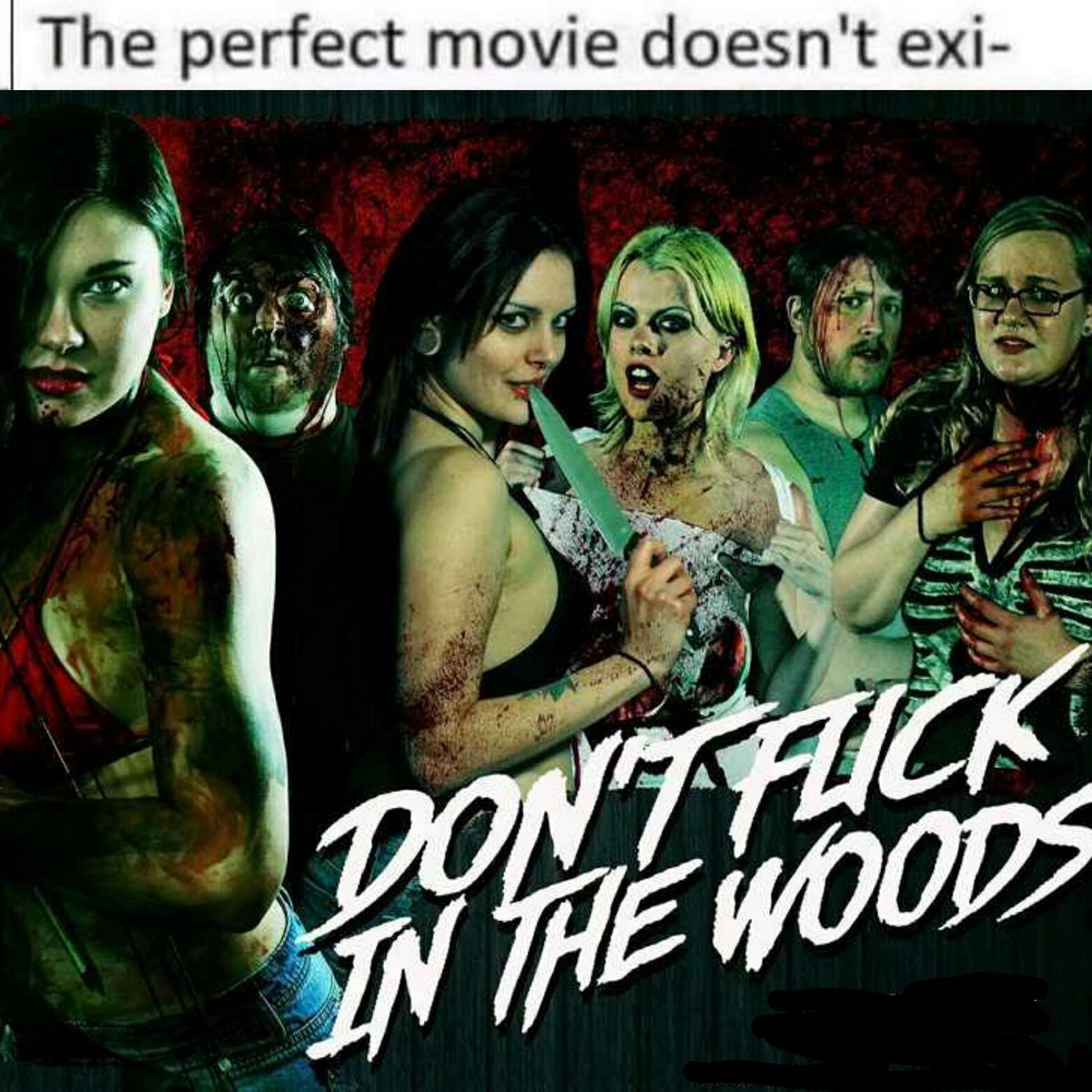 SchlockShockRad's tweet photo. #movies #funny #horror #HorrorMovies #dfitw Don't Fuck in the Woods https://t.co/MujNykgJ0v