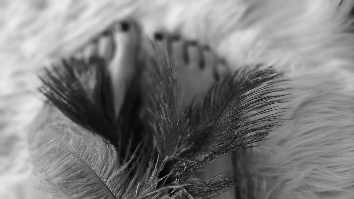 TemptatousTease's tweet photo. I love the black and white pictures! Tomorrow I will be posting pictures with barefoot sandals on only fans, I may post one picture here as a sneak peak! Be sure to check out and subscribe to show me some love! ❤️https://t.co/h3D2CuA5Of

Don't forget to follow me on twitter ! ❤️ https://t.co/9UKGE1EVOx