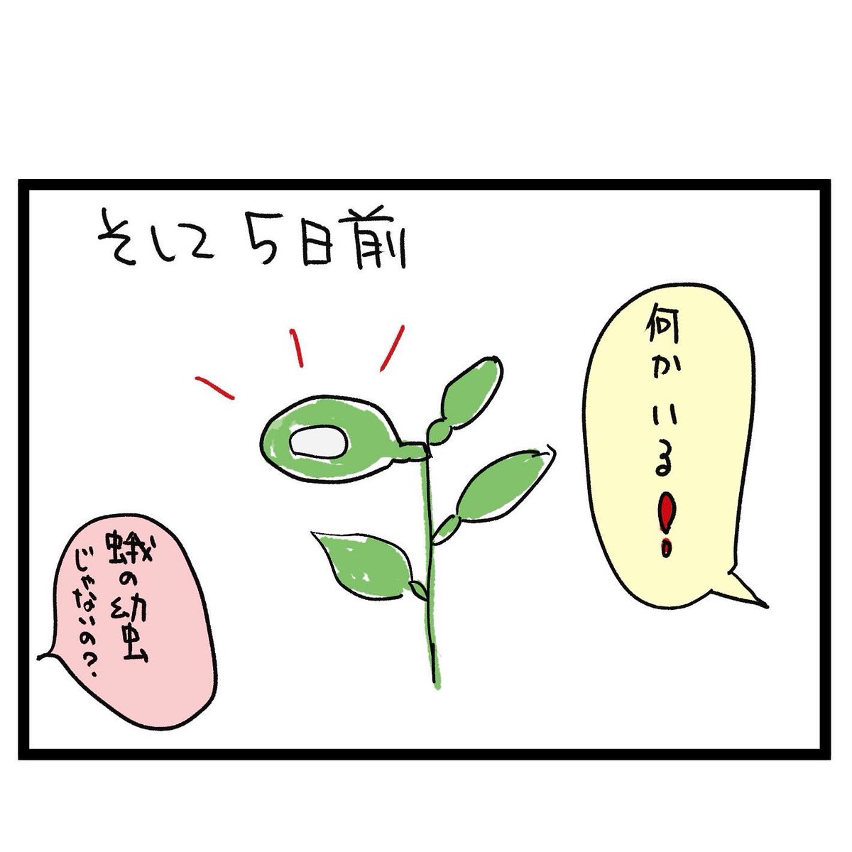#四コマ漫画
#レモンの葉を食べる虫 