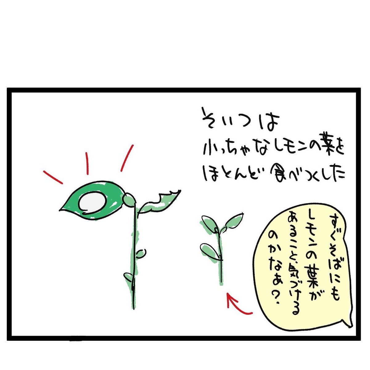 #四コマ漫画
#レモンの葉を食べる虫 