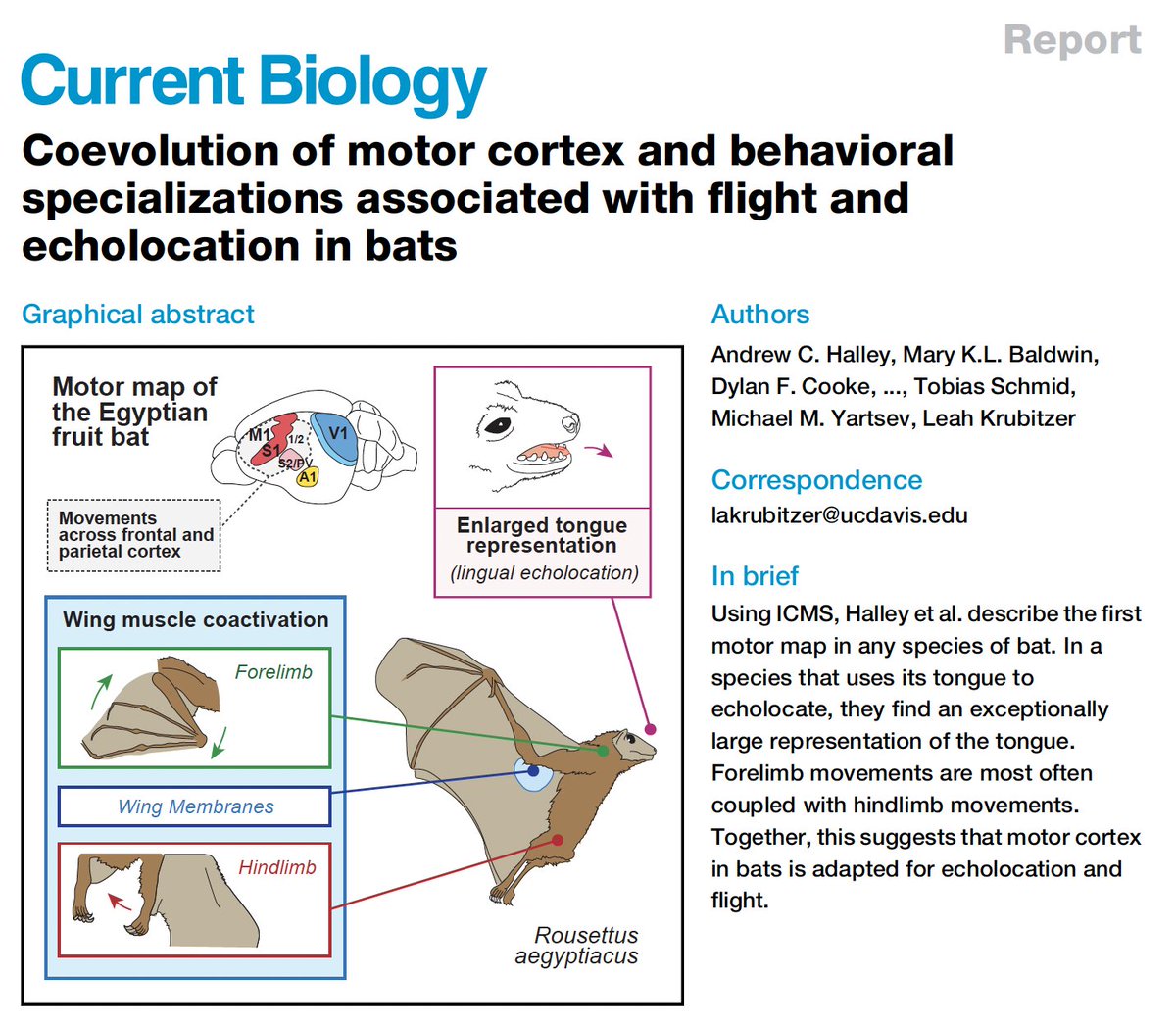 Andrew C. Halley tweet media