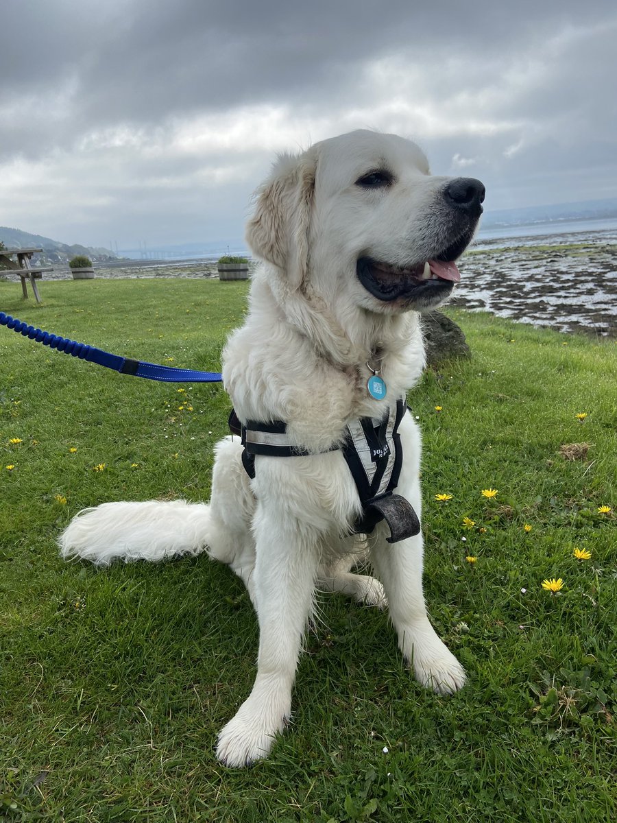 Kara Walley RN, SCPHN (SN), FNF Nurse tweet media