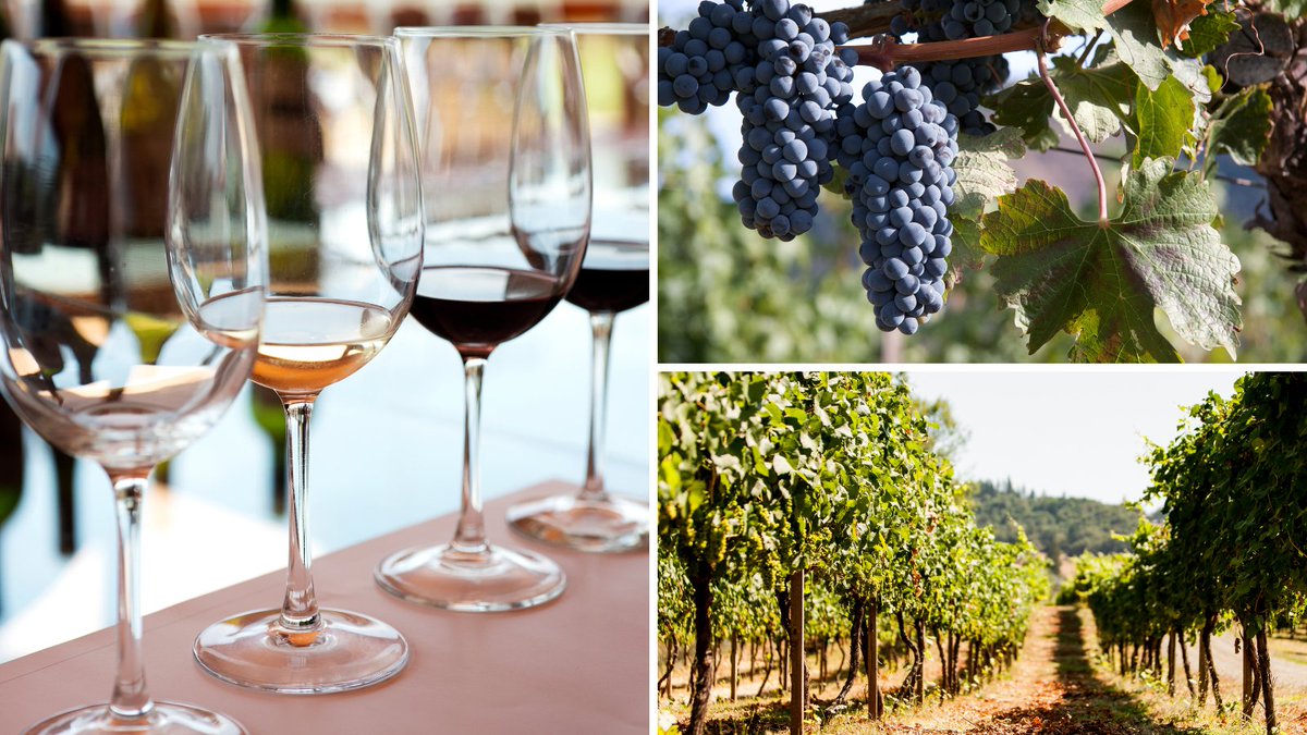 1000 Friends of Oregon tweet media