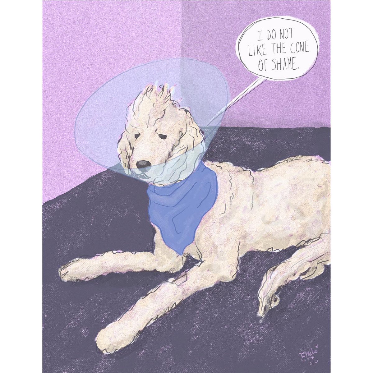 ek_illustrates's tweet photo. “Watson Wednesday 06,” created in Adobe Fresco.

My poor pup injured his paw and ended up with a skin infection, so he was put in a cone to keep him from licking it last week. He’s been a trooper and doc says he’s healing perfectly, but he definitely hates the cone of shame. 😢 https://t.co/qsfZo20Z8b