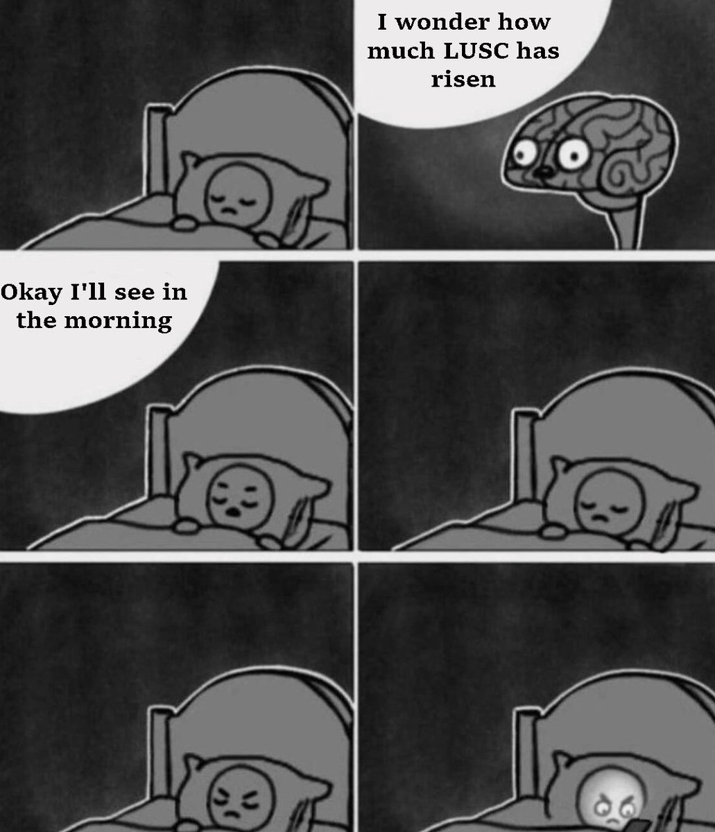 Luscus Cat tweet media