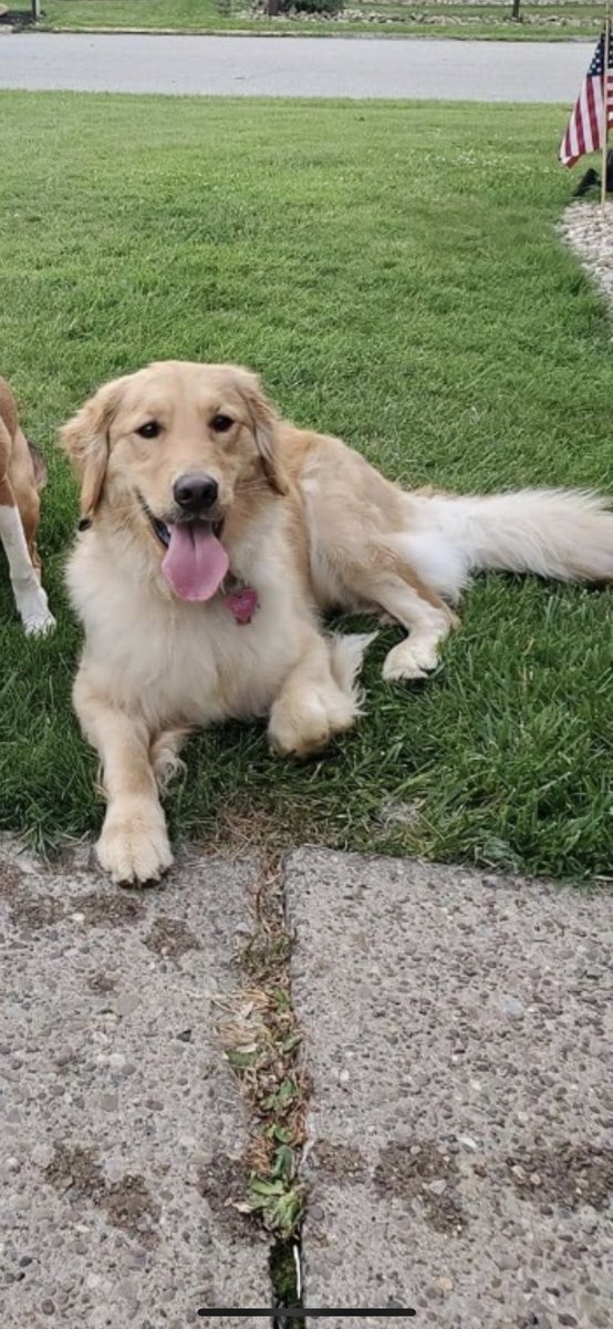 KuttlerSteve's tweet photo. Rip Lucy. You will be missed https://t.co/2MArJ1elDq