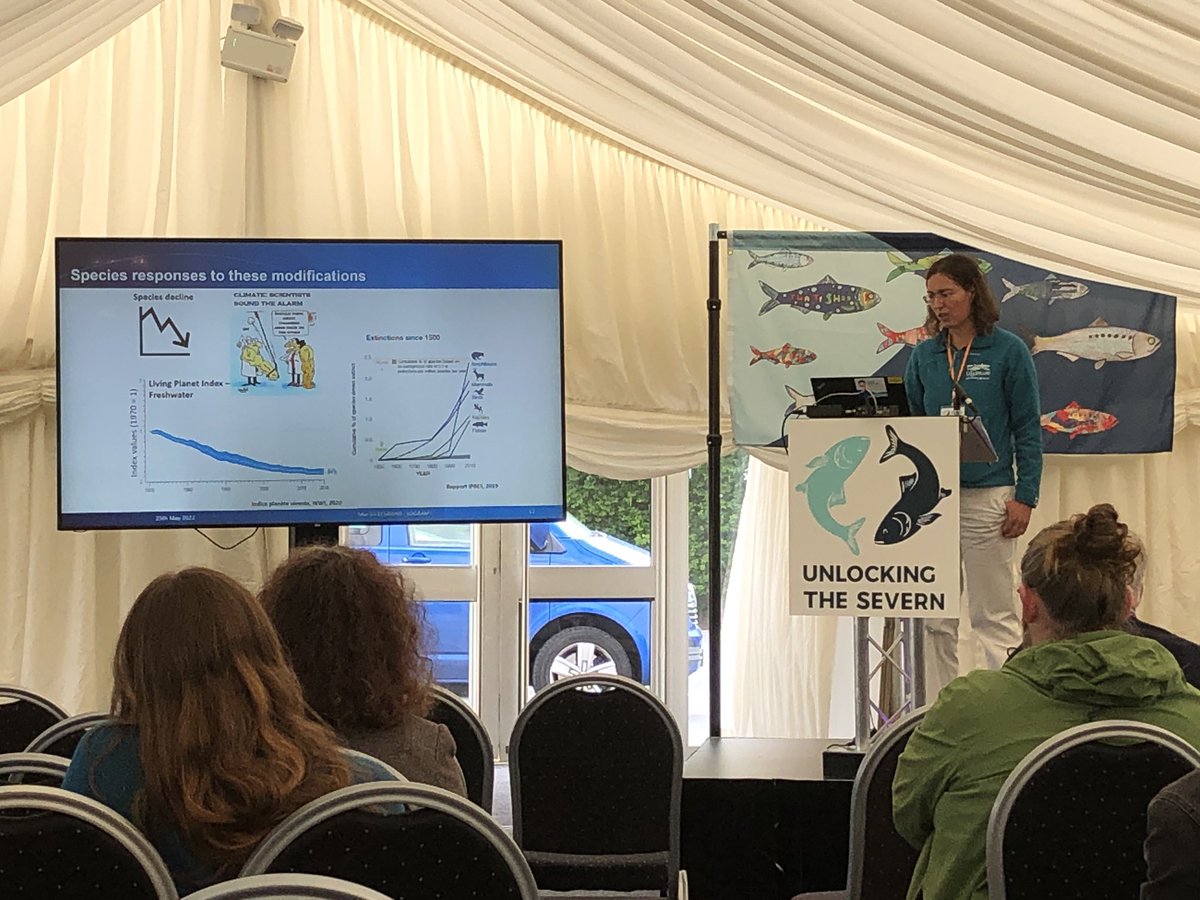 ChrisBaingerEA's tweet photo. Congratulations @SevernUnlocked team and @charlescrundwe1 for a hugely successful #ShadSymposium with inspirational presenters and awesome visits to see the #fishpasses that have unlocked the #Severn for #shad and so many other fish ππ» https://t.co/EmDPdh1qB2