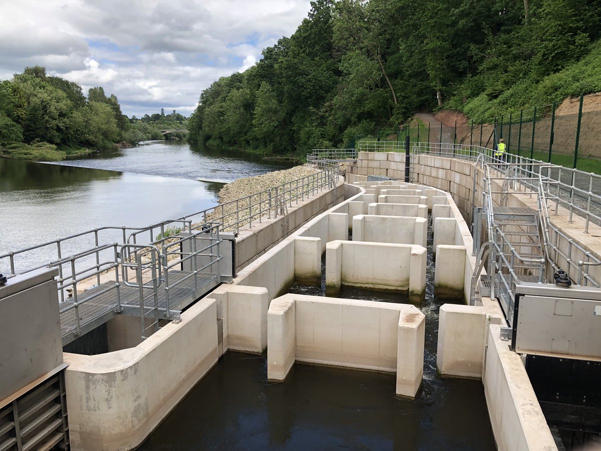 ChrisBaingerEA's tweet photo. Congratulations @SevernUnlocked team and @charlescrundwe1 for a hugely successful #ShadSymposium with inspirational presenters and awesome visits to see the #fishpasses that have unlocked the #Severn for #shad and so many other fish ππ» https://t.co/EmDPdh1qB2