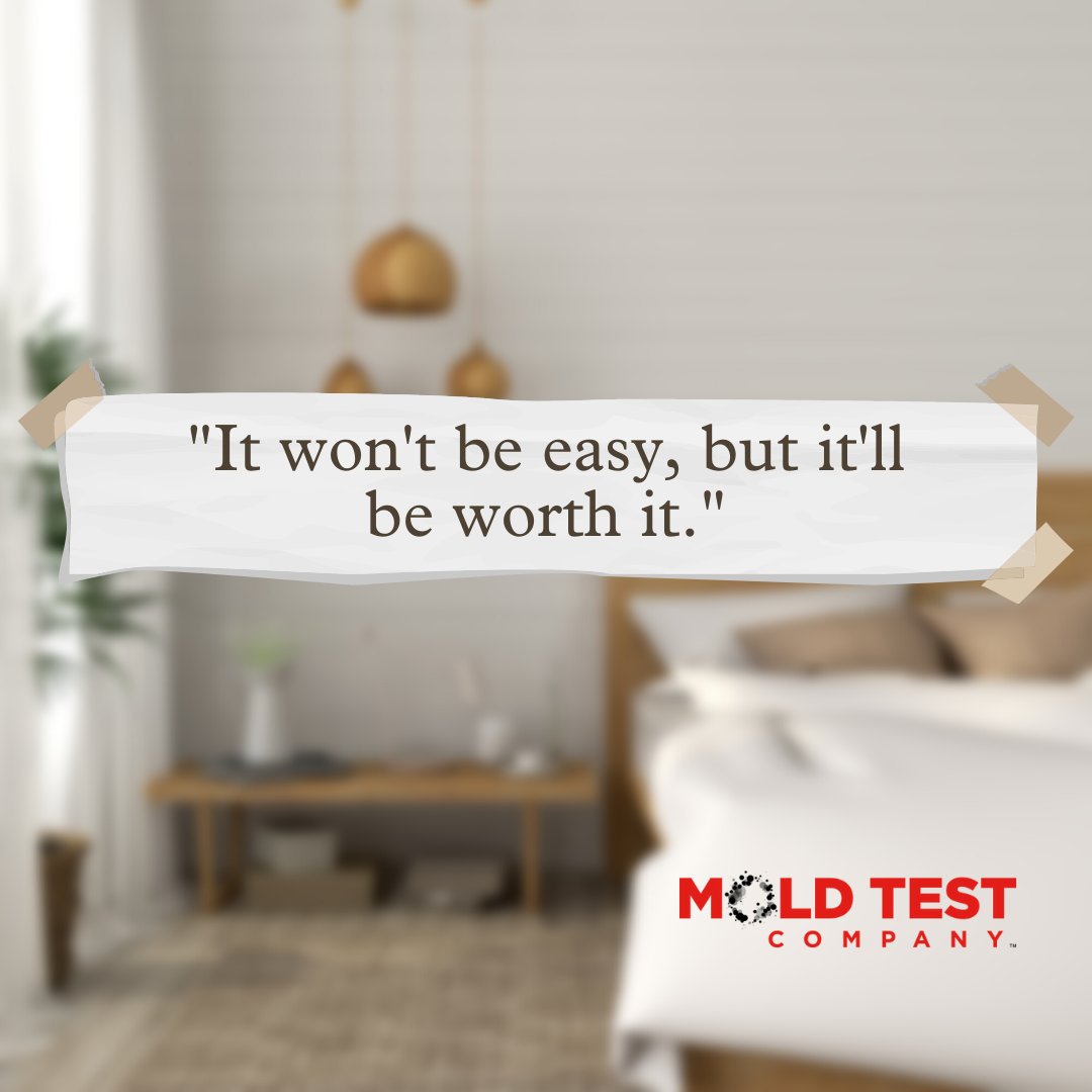 test_mold's tweet photo. For those dealing with home remediation projects-hang in there! It's not easy, but it's worth it 🏠

#moldtesting #mold #blackmold #moldremediation #instalove #quotes #inspo #motivationalquote #diy https://t.co/y9SBLGxT8p