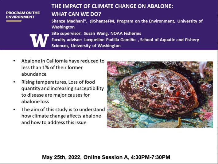 If you’re interested in abalone and climate change be sure to visit my presentation in breakout room 14 at the POE Capstone Symposium today at 4:30pm PT! #envir492