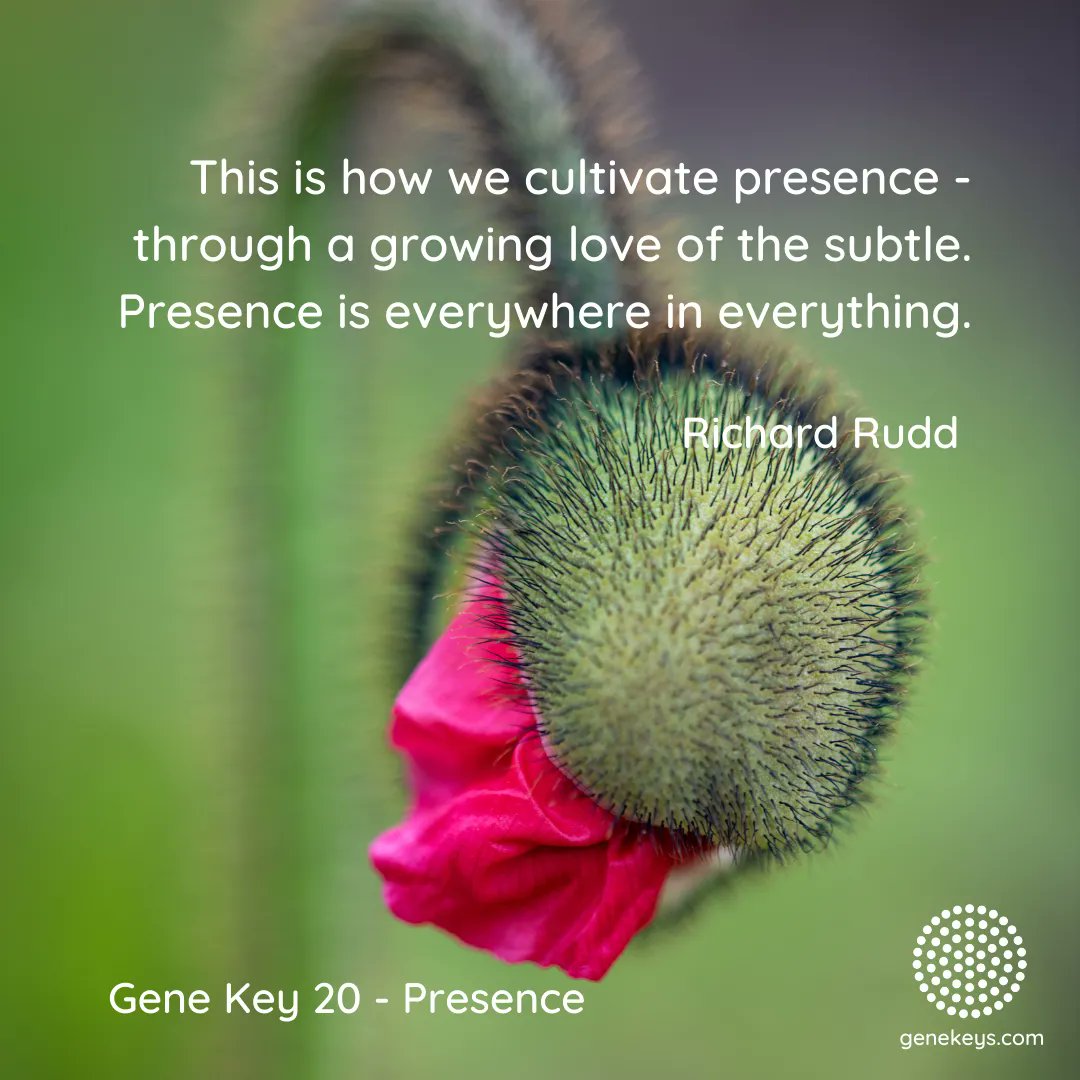 gene_keys's tweet photo. The Pulse – 21 May to 26 May – The 20th Gene Key moves from the Shadow of Superficiality to the Siddhi of Presence and it is the Way of Self Assurance
For more about the Gene Keys visit and subscribe to The Pulse at https://t.co/Dviu0apuuY
#genekeys #genekey20 #presence https://t.co/QbxhB2u81o