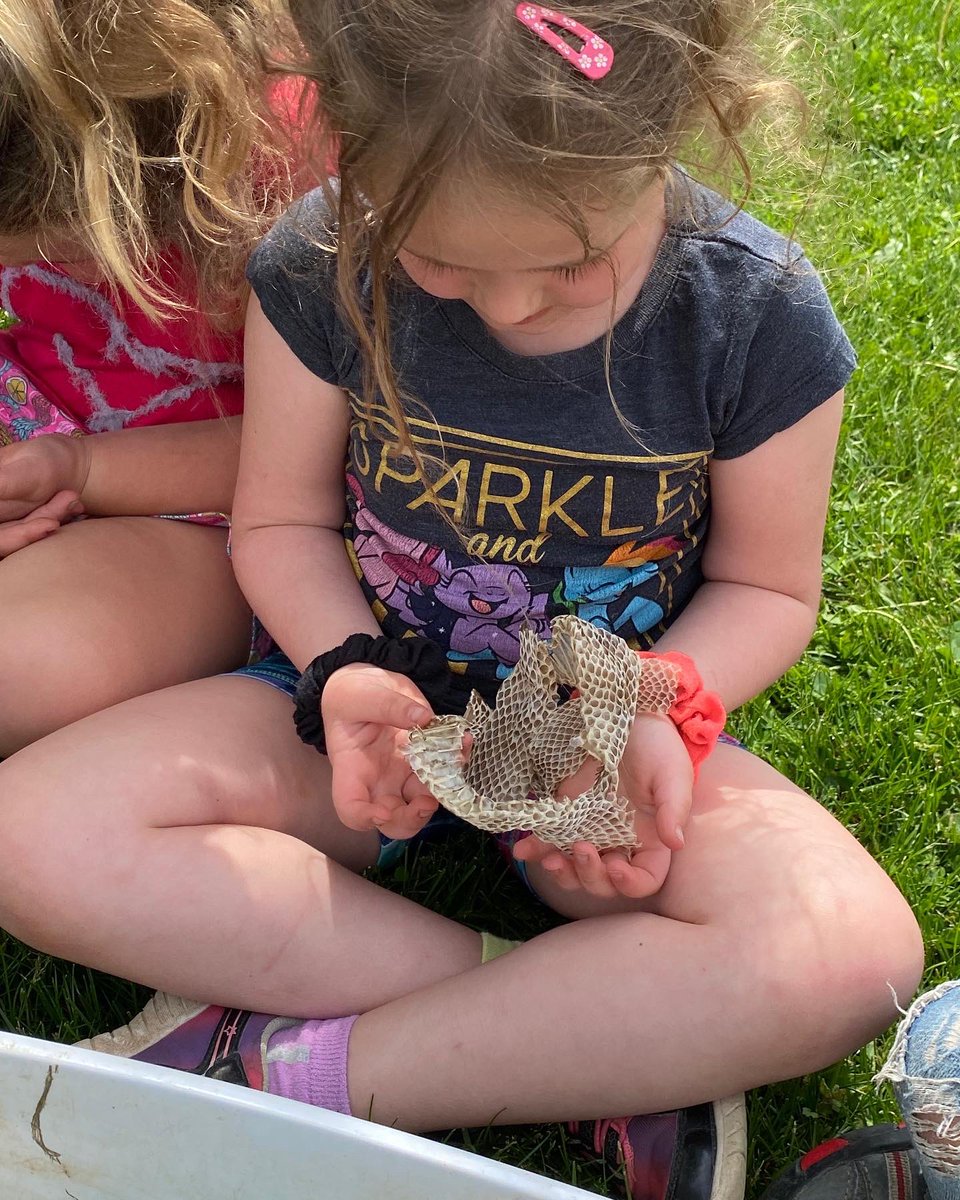 howickps's tweet photo. While our older students were busy with track and field today, a number of our younger students took part in outdoor education opportunities with the Ausable Bayfield Conservation Authority. #outdooreducation #fieldtripcomestous @yourschools https://t.co/glYAuXjBfH