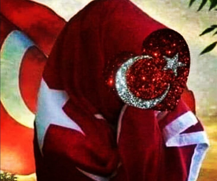 Ülkeler, Nato'ya Üyeliğe menfaat ve güvenlerini korumak için girmeye çalışıyorsa eğer, Türkiye de kendi menfaat ve güvenini düşünmek zorunda.