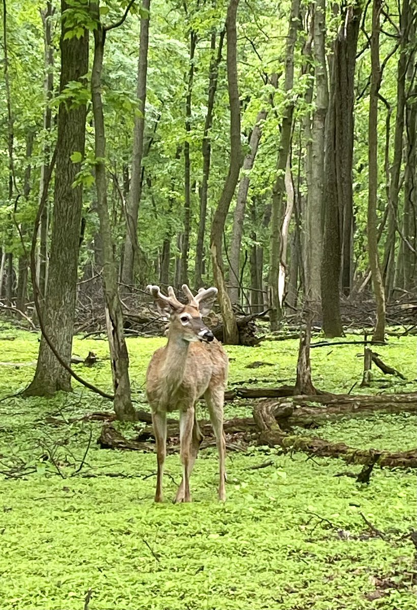 Paul_KMEOutdoors tweet media