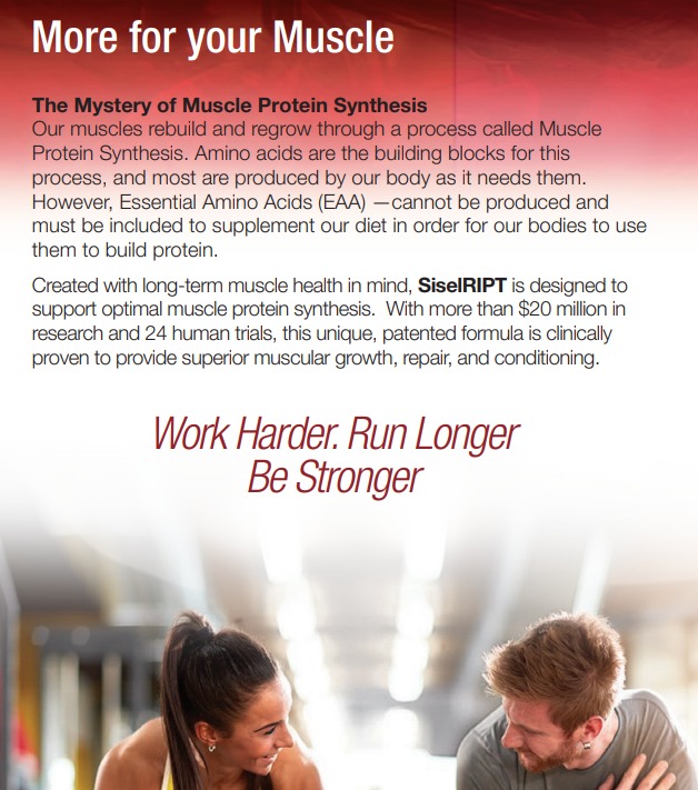 KevinFr14260515's tweet photo. #SISELRIPT™ - #Muscles rebuild through a process called Muscle Protein Synthesis #MPS Your body produces #aminoacids, however, #EAAs must be included in our #diet for our bodies to use them to build #protein. #workout #fitness #menshealth #testosterone https://t.co/JdQ4P6QVKY https://t.co/gHZtY9c1tK
