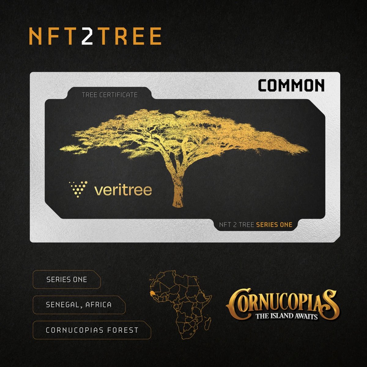 Bullish P A Y | 𝔽rAI tweet media