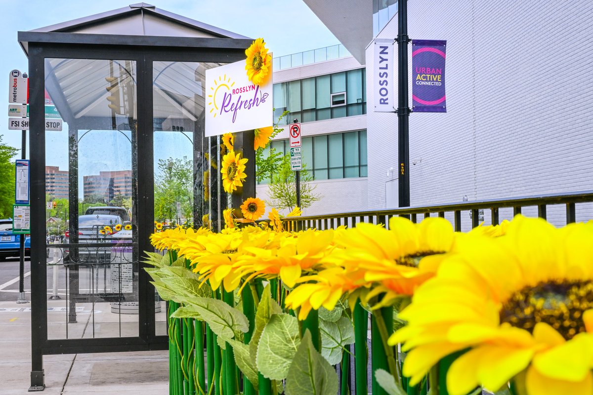 RosslynVA's tweet photo. π» Did you take pictures of our "Big Blooms" across the neighborhood? We're extending our #RosslynRefresh giveaway by an extra week, so dust off those pictures if you're interested in winning a $50 restaurant gift card. Full details: https://t.co/o5fQms4uW7 https://t.co/1UntNddPan