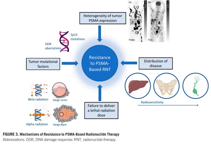 Michael Hofman (@drmhofman) on Twitter photo Predictors and Real-World Use of Prostate-Specific Radioligand Therapy: PSMA and Beyond
@asco Education Book #ASCO22
ascopubs.org/doi/full/10.12…
<a href="/DrAGafita/">Andrei Gafita</a> <a href="/LouiseKostos/">Louise Kostos</a> <a href="/CalaisJeremie/">Jeremie Calais</a> <a href="/pros_tic/">ProsTIC</a> Predictors and Real-World Use of Prostate-Specific Radioligand Therapy: PSMA and Beyond
@asco Education Book #ASCO22
ascopubs.org/doi/full/10.12…
<a href="/DrAGafita/">Andrei Gafita</a> <a href="/LouiseKostos/">Louise Kostos</a> <a href="/CalaisJeremie/">Jeremie Calais</a> <a href="/pros_tic/">ProsTIC</a>