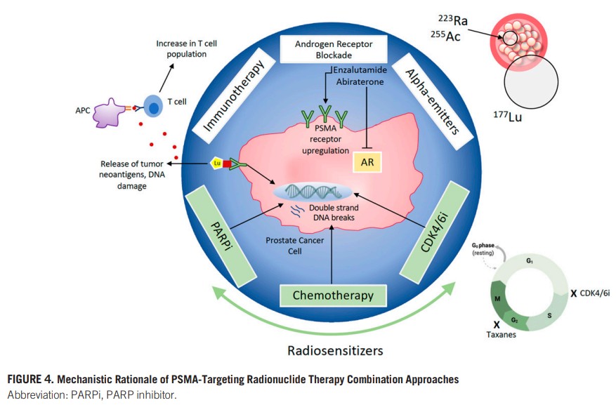 DrMHofman's tweet image. Predictors and Real-World Use of Prostate-Specific Radioligand Therapy: PSMA and Beyond
@asco Education Book #ASCO22 
ascopubs.org/doi/full/10.12…
@DrAGafita @LouiseKostos @CalaisJeremie @pros_tic