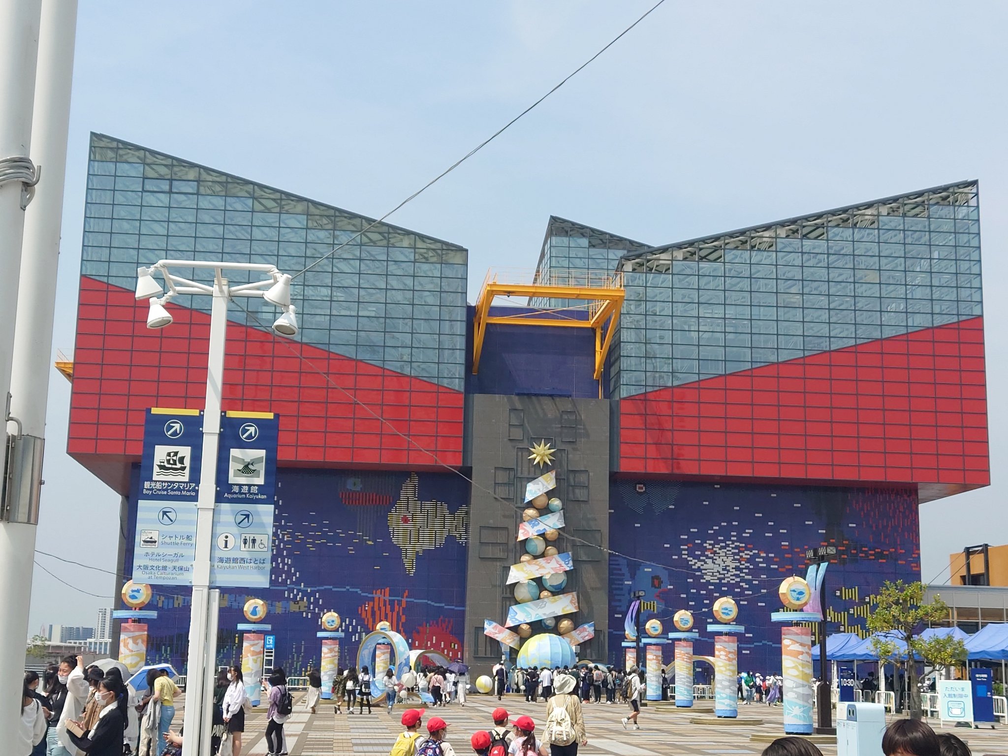 Sara 海遊館 T Co Gqqpr6geuy Twitter Sara 海遊館 T Co Gqqpr6geuy Twitter