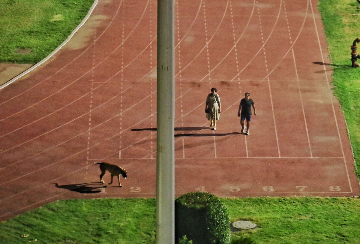Athletes forced to finish their practice by 7pm daily for the last few days at Thyagraj Stadium in Delhi, which is also emptied out. So that a senior bureaucrat can go for a walk with his dog.

Story with <a href="/AndrewAmsan/">Andrew</a> 
<a href="/IndianExpress/">The Indian Express</a>