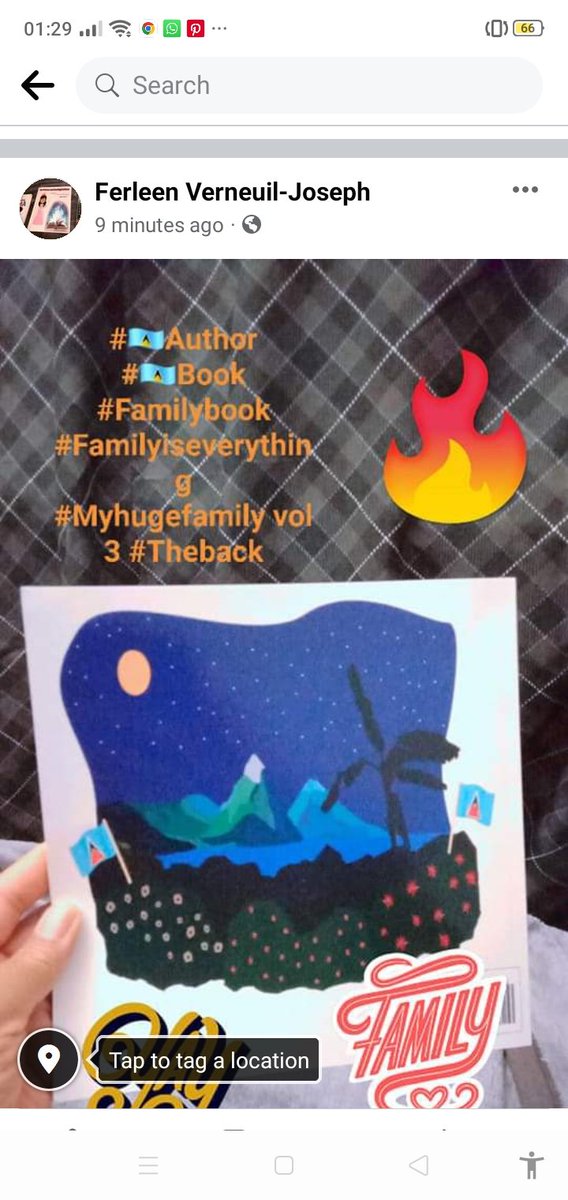 Ferleen Verneuil-Joseph- 🇱🇨Author (@ferleenf) on Twitter photo 