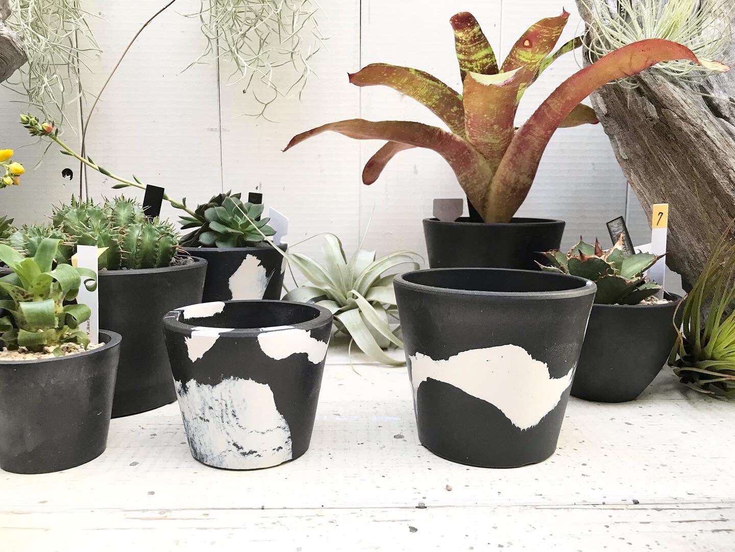 Clutch Furniture マーブルプラスチックポット 385 1点1点マーブル柄は異なります 黒に白の練りこみマーブルになります 塗装じゃないです T Co 9jzegegp1d 植木鉢 鉢カバー マーブルプラスチックポット マーブルポット マーブル鉢 黒
