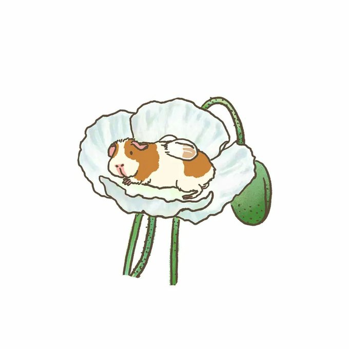 いたやさとしのtwitterイラスト検索結果