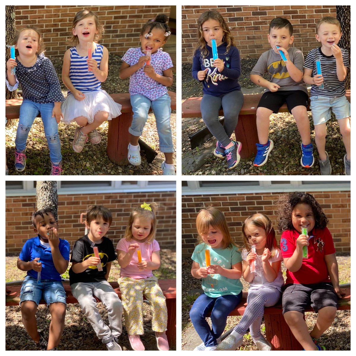 Dana Lubin tweet media