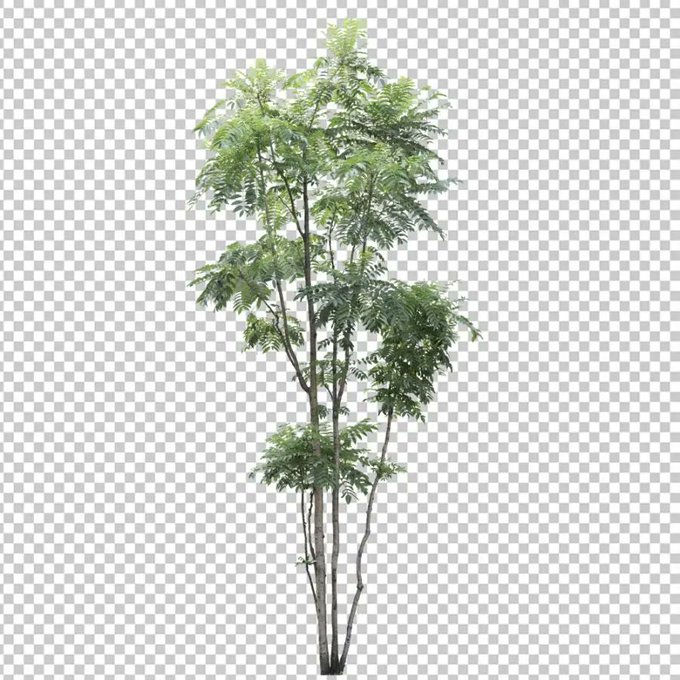 添景植栽のtwitterイラスト検索結果