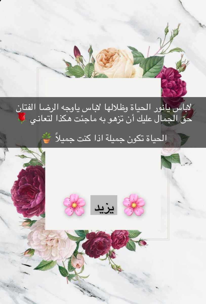 يزيد tweet media