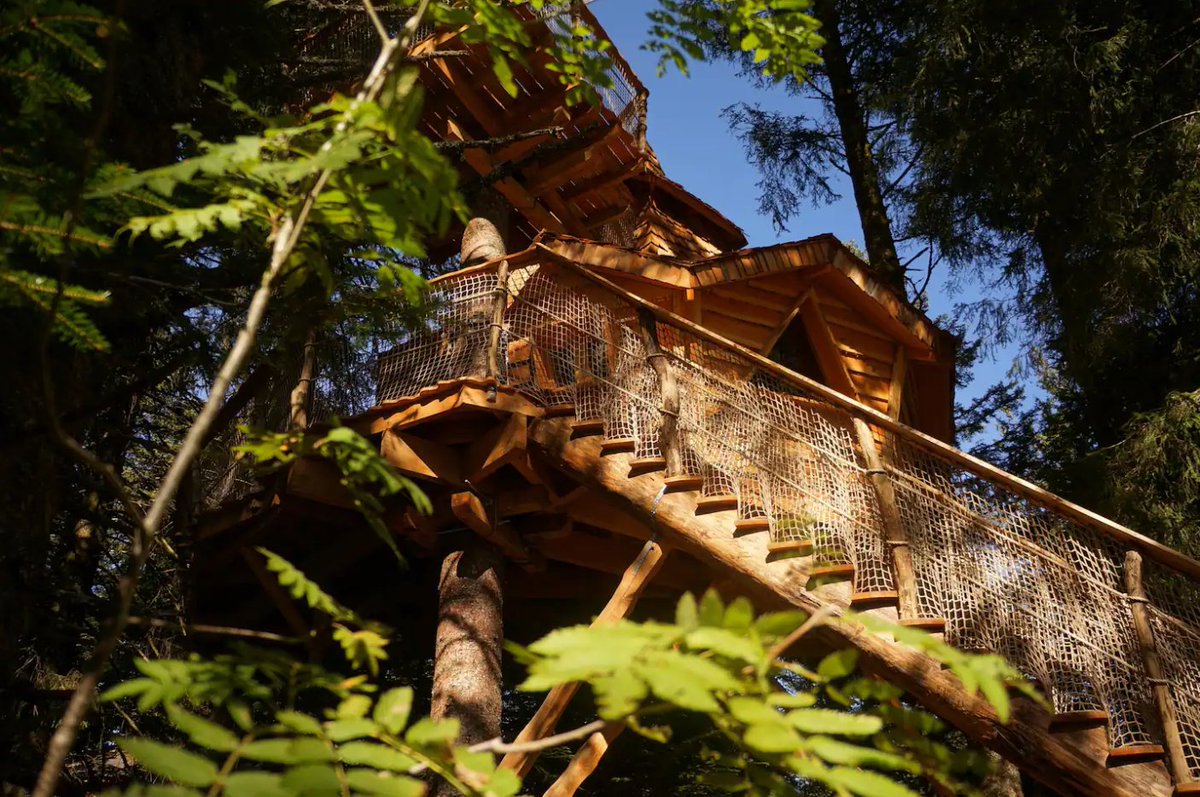 🚨 GIVEAWAY 🚨

Try to win 3 nights in a treehouse ! 🏕️

How? 🌱
- RT &amp; Follow
- Join our discord discord.elrondtrees.com

📅 DRAW: 02 Jun. 2022 13h00 UTC