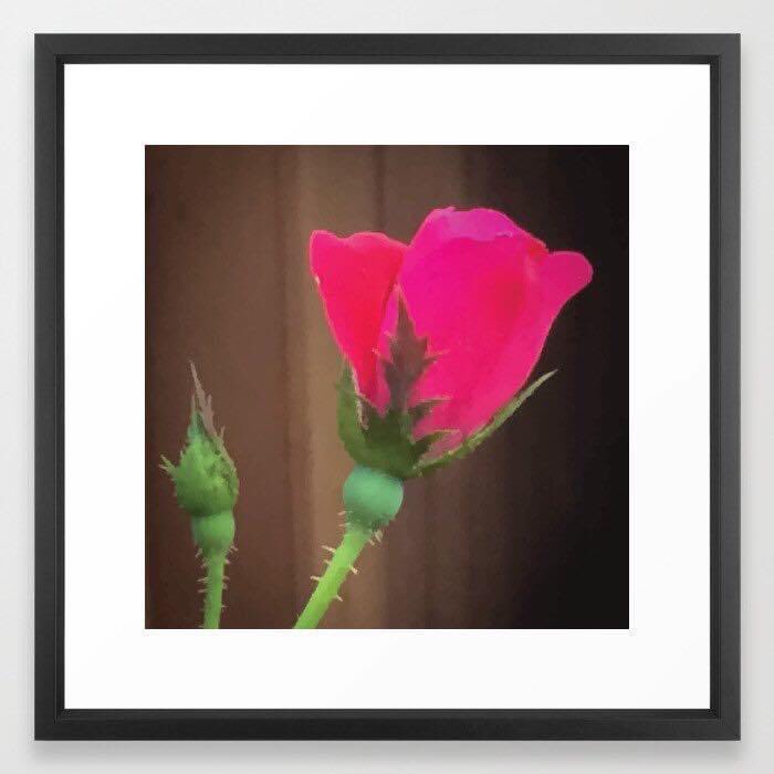 pulaskishepherd's tweet photo. “Single Rose Budding” Framed Art Print

#PulaskiShepherdCo
#pscsco
#SingleRoseBudding
#FramedArtPrint
#society6

https://t.co/dN0BhhQpL8 https://t.co/F7vnDWtb1C