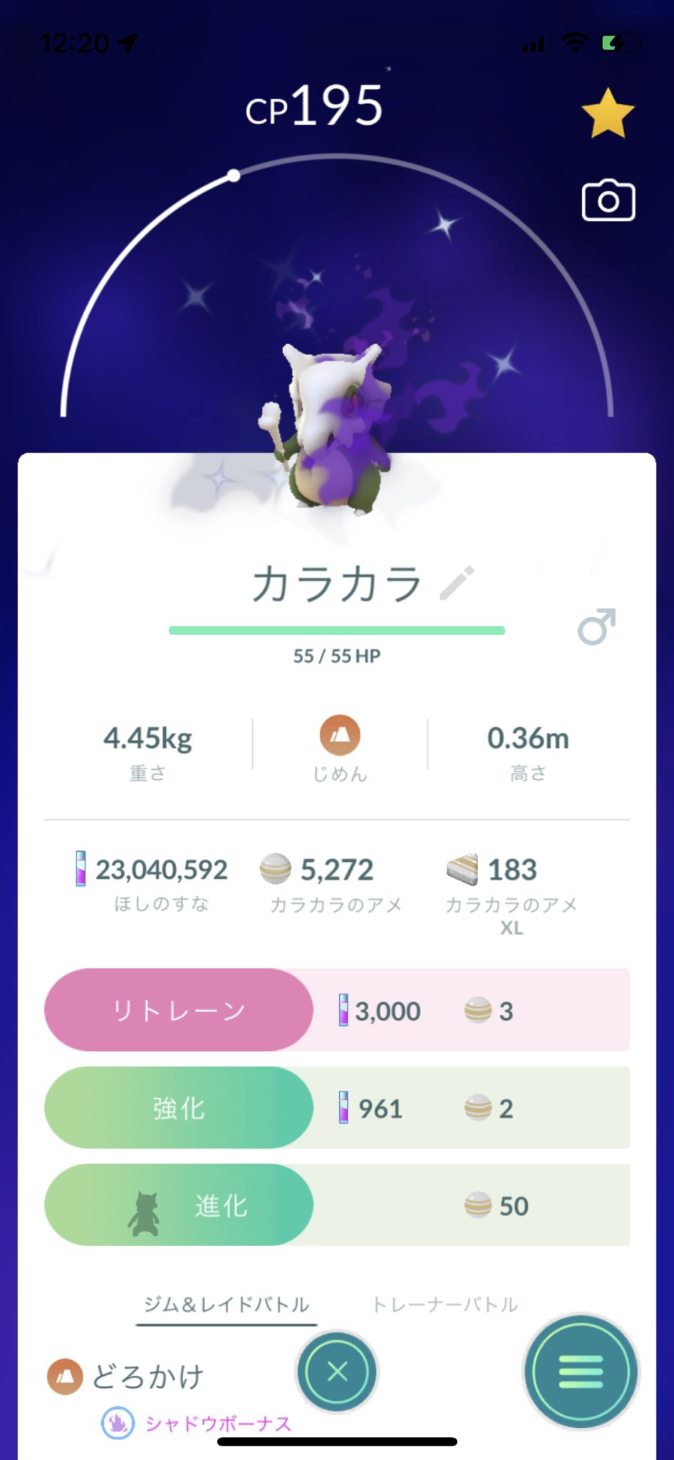 تويتر Tanakax على تويتر これもレアだよね うれし わ Pokemon Pokemongo ポケモン ポケモンgo 色違い イロチ Shiny 特別技 シャドーボーン カラカラ アローラガラガラ 進化 シャドウポケモン T Co Ilrxcdc9vy