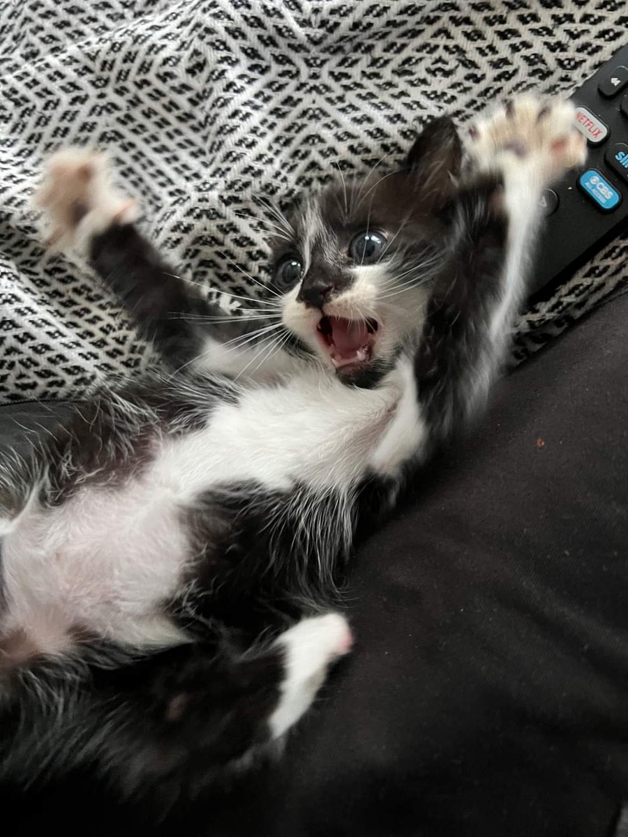 Julie In Cope 🖤⚰️📻 tweet media