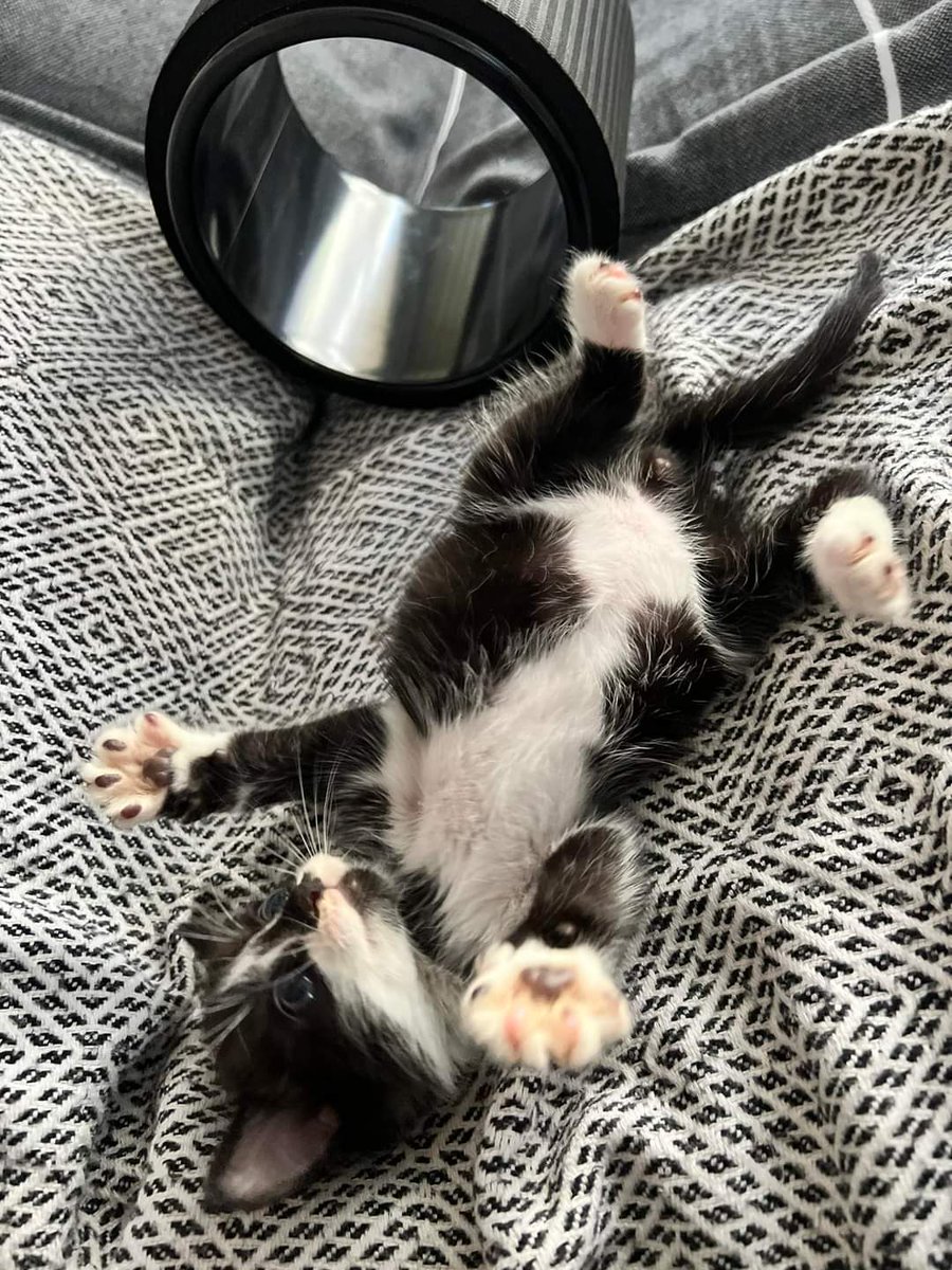 Julie In Cope 🖤⚰️📻 tweet media